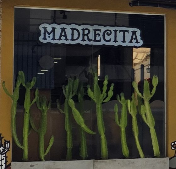 Vitrine da Madrecita com o letreiro do nome no alto e uma fileira de cactos verdes plantados embaixo.